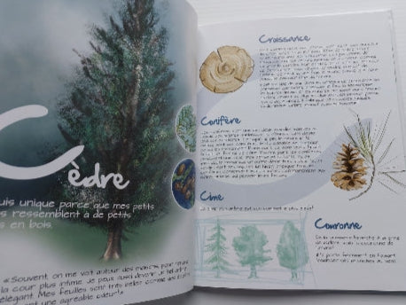 DESPRÉS DESJARDINS, Abécédaire des arbres de A à Z PETITE FLEUR 9782981789303