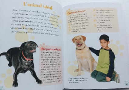 MACAULAY KALMAN Les labradors Mon animal BAYARD 9782895794370