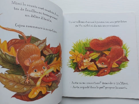 LOUGHREY HOWARTH: L'automne de Cajou l'écureuil roux, SCHOLASTIC 9781443122931