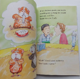 MCMULLAN SMITH: Fluffy meets the tooth fairy, Level 3, SCHOLASTIC 9780439129183