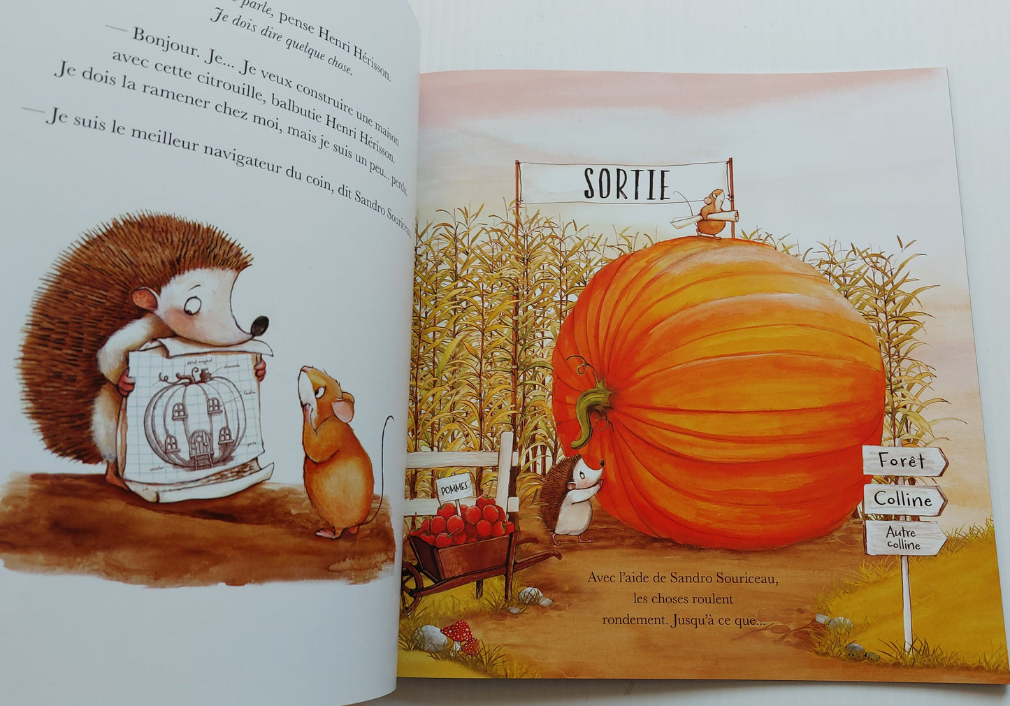 HUDSON, Katy : Le grand projet citrouille SCHOLASTIC 9781039713659