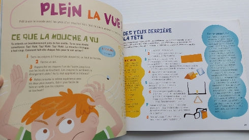 BECKER, Helaine : Les Insecto-fiches BAYARD 9782895793748