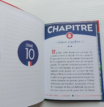 Destins de champions T10 Zinédine Zidane : l'artiste Biblio verte 9782017237198