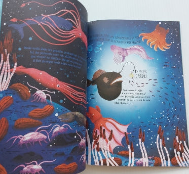 GRIMES, Amy : Les Secrets de l’océan SCHOLASTIC 9781039714618