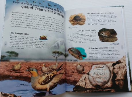 Tant de façons de vivre dans des conditions difficiles, QC AMÉRIQUE 9782890379770