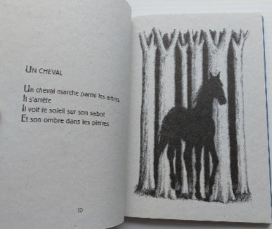 VINCENSINI GALERON : Je dors parfois dans les arbres, MOTUS 9782907354820
