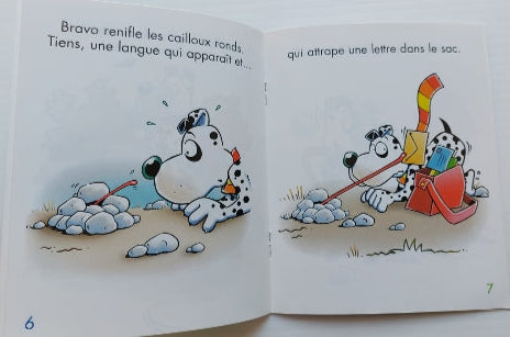 Bravo et son mystérieux compagnon, Niveau 3 BRAVISSIMOTS 003927991x 620728285604