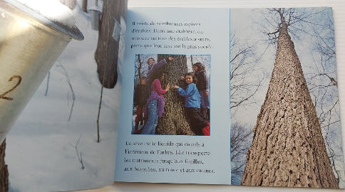 Allons à la cabane à sucre! D'où vient le sirop d'érable? SCHOLASTIC 9780779114122