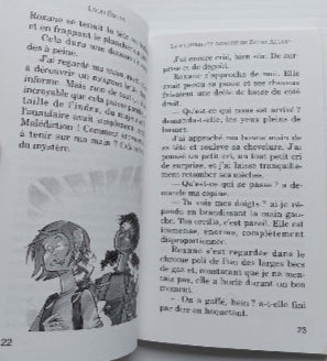 Débrouillards, La mystérieuse armoire de Zénon Allard, SOULIÈRES 9782922225273