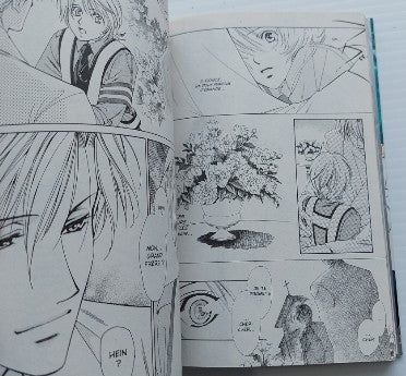 HIGURI WADA T5 Crown ASUKA 9782849654705