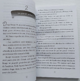HOLUB WILLIAMS : L'académie Grimm T2 Chaperon Rouge est perdue SCHOLASTIC 9781443147262