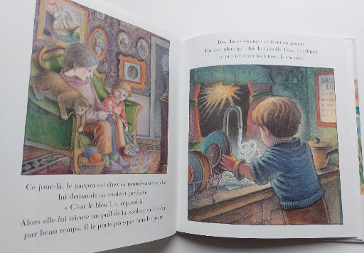 MCPHAIL, David : Le magicien d'eau MARTINIÈRE 9782732435480