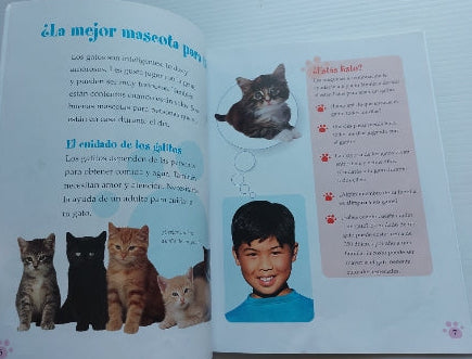 KALMAN, Bobbie : Los gatitos 9780778784760