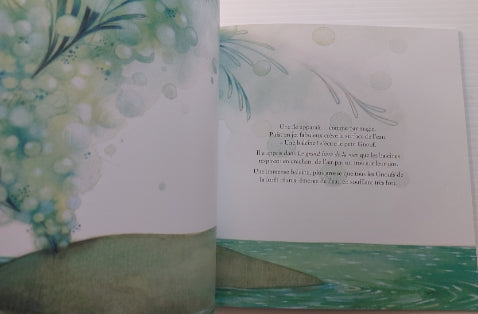 DEMERS GRIMARD L'été de la petite baleine DOMINIQUE et CIE 9782897852870