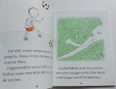 BRITT DUBUC : N2 Félicien et la grotte COURTE ÉCHELLE 9782896514700