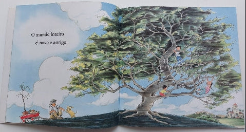 O Mundo Inteiro Paz e Terra 9788577531356