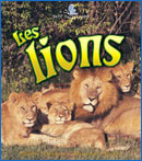KALMAN Les lions Petit monde vivant BAYARD 9782895790242