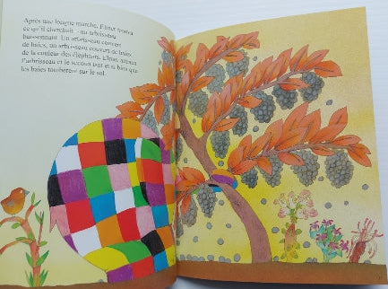 MCKEE, David : Elmer ÉCOLE DES LOISIRS 9782211019446