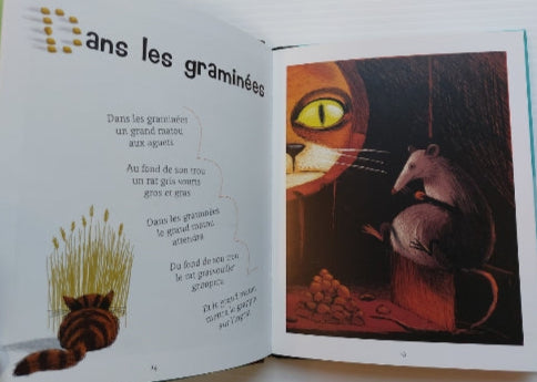BOBE DANKERLEROUX : Comptines des chats BAYARD 9782747015301