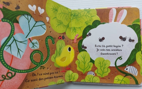 WATT, Fiona : Mon petit cache-cache : Es-tu là, petit lapin ? 9781474945806