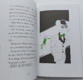 BERGERON, Lucie : Fée Fougère et Milo Mulot T2 La grande colère Dom Cie 9782897396398
