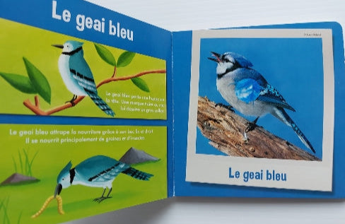 Les animaux du ciel (titre blanc) Auzou éveil 2013