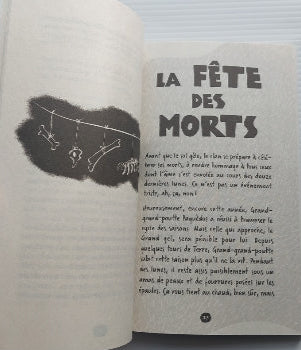 LACHAPELLE, J : Les Cromz T4 Voyageurs du temps PETIT HOMME 9782897541873