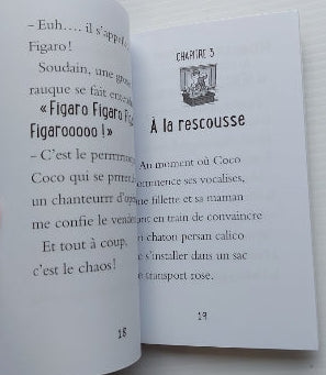 CHOQUETTE FERRON Mes amis les animaux T2 DOMINIQUE et CIE 9782897850340