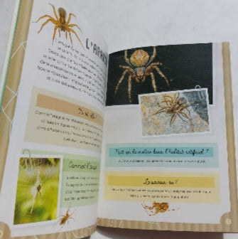 Bienvenue dans le monde fascinant des insectes et petites bestioles, PETITS GÉNIES