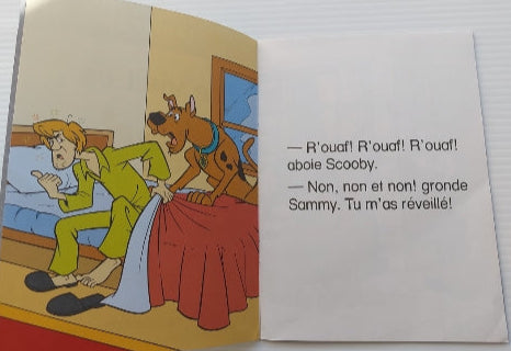 Scooby-Doo! : La boîte à lecture T1 La grande course SCHOLASTIC 9780439948265