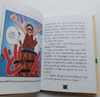 One piece T1 Le seigneur des pirates Biblio Verte 9782012024373