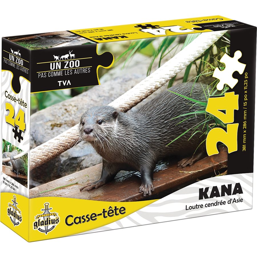 Kana, Loutre cendrée d'Asie Gladius Casse-tête 24 morceaux