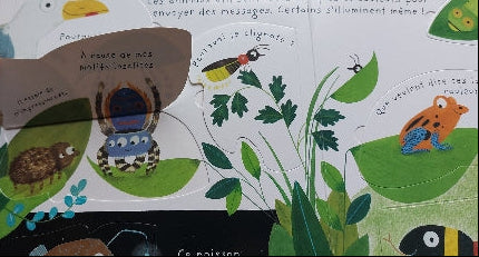 Mes premières questions : Comment les animaux se parlent-ils ? USBORNE 9781474951746
