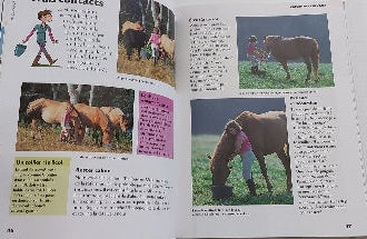 Copain des chevaux : à la découverte des fils du vent MILAN 9782408015763