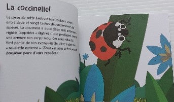 RODERICK MORIYA: Bestioles de la tête à la queue McDonald