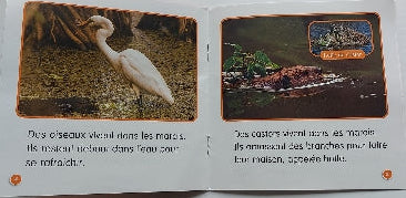 Je lis! Sciences, Qui vit dans les marais?, Niveau D, SCHOLASTIC 9781443151665