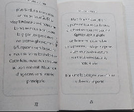 CHOUINARD, Carolyn : 4 histoires de Ma jumelle et moi DOM ET CIE 9782897857615