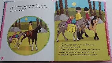 Mes amis les chevaux, Le Stage d'équitation HACHETTE 9782012206168