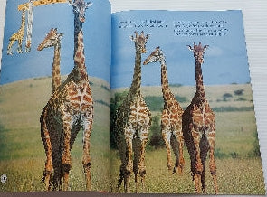 National Georgraphics : Kids Want to Know, Our Amazing Animal Friends SCHOLASTIC 0439136385