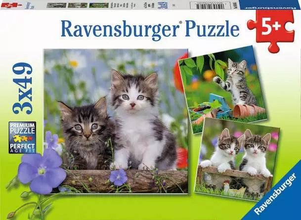 Chatons tigrés RAVENSBURGER 080465 Casse-tête 3 x 49 morceaux