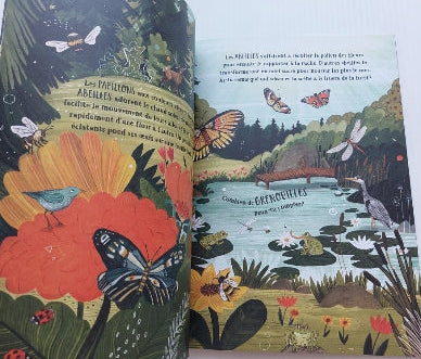 DIECKMANN, Sandra : Les Secrets de la forêt SCHOLASTIC 9781443195003