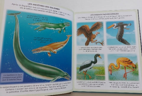L'imagerie dinosaures et préhistoire FLEURUS 9782215145134