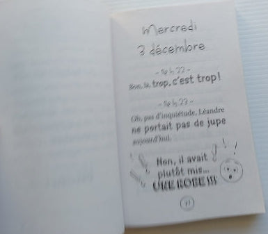 ADDISON, M : Les mini carnets de Dylane, Janvier : Cupcakes en folie ! BOOMERANG 9782897096595