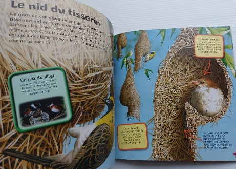 Le monde des animaux : Les océans, PICCOLIA 9782753017535