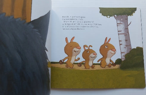 Les histoires du Père castor : Va-t'en, gros loup méchant! FLAMMARION 9782081432710