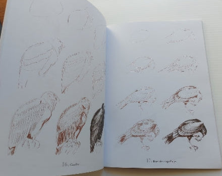 50 dessins d'animaux à protéger VIGOT 9782711413362