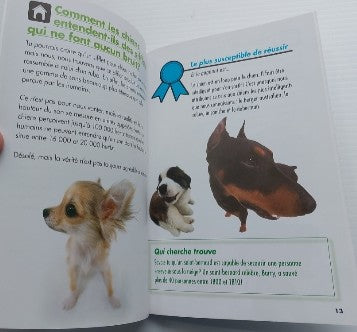 JORDAN, Apple : Nous, les chats Questions et réponses SCHOLASTIC 9780545998796