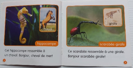 Je lis! Sciences, À qui je ressemble?, Niveau D, SCHOLASTIC 9781443120999
