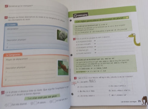 Zig zag : 4e année du primaire : cahier de savoirs et d'activités B ERPI 9782761352178