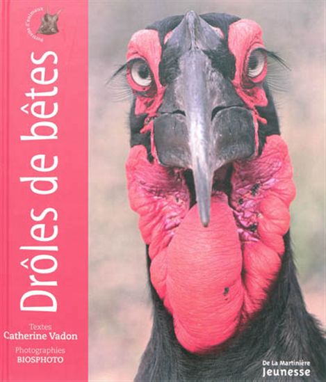 VADON, Catherine : Drôles de bêtes MARTINIÈRE 9782732448893